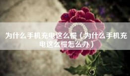 为什么手机充电这么慢（为什么手机充电这么慢怎么办）