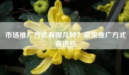 市场推广方式有哪几种？常见推广方式有这些