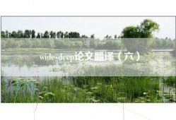 wide-deep论文翻译（六）