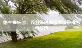 悟空蜘蛛池：致力于提高搜索引擎排名与收录