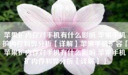 苹果扩内存对手机有什么影响 苹果手机扩内存利弊分析【详解】苹果手机扩容「苹果扩内存对手机有什么影响 苹果手机扩内存利弊分析【详解】」