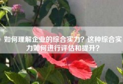 如何理解企业的综合实力？这种综合实力如何进行评估和提升？