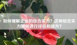 如何理解企业的综合实力？这种综合实力如何进行评估和提升？