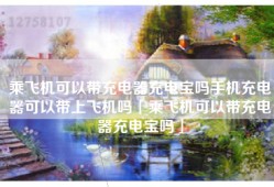 乘飞机可以带充电器充电宝吗手机充电器可以带上飞机吗「乘飞机可以带充电器充电宝吗」
