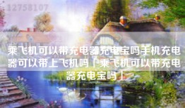 乘飞机可以带充电器充电宝吗手机充电器可以带上飞机吗「乘飞机可以带充电器充电宝吗」
