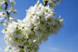 端午节放假微信朋友圈祝福