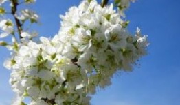 端午节放假微信朋友圈祝福