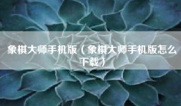 象棋大师手机版（象棋大师手机版怎么下载）