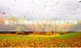 通过SEO诊断教你写网站运营推广方案