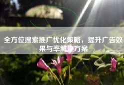 全方位搜索推广优化策略，提升广告效果与率解决方案