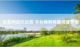 京喜网店代运营 平台规则有哪些提前看