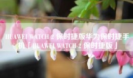 HUAWEI WATCH 2 保时捷版华为保时捷手机「HUAWEI WATCH 2 保时捷版」