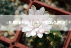 手机解锁主题（手机主题怎么解锁）