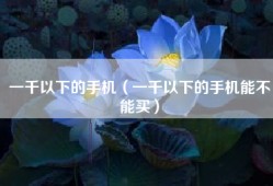 一千以下的手机（一千以下的手机能不能买）