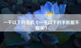 一千以下的手机（一千以下的手机能不能买）
