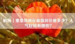 购房｜秦皇岛现在新盘房价是多少？人气好房有哪些？