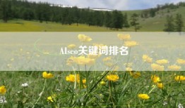 AIseo关键词排名