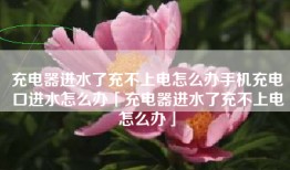 充电器进水了充不上电怎么办手机充电口进水怎么办「充电器进水了充不上电怎么办」
