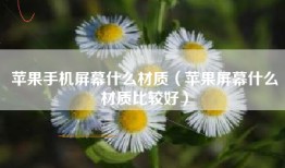苹果手机屏幕什么材质（苹果屏幕什么材质比较好）