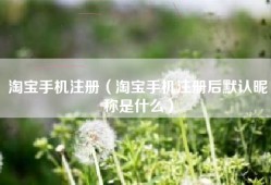 淘宝手机注册（淘宝手机注册后默认昵称是什么）