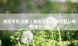 淘宝手机注册（淘宝手机注册后默认昵称是什么）