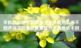 手机怎么听不到声音了（手机怎么听不到声音了但是设置里都开了就是听不到声音）