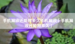 手机漏液还能用多久手机漏液「手机漏液还能用多久」