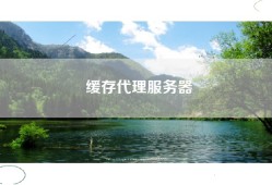 缓存代理服务器