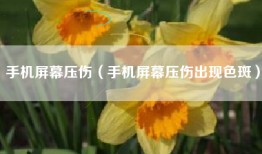 手机屏幕压伤（手机屏幕压伤出现色斑）