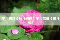千川可以投放视频吗？千川怎样投短视频？