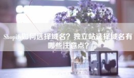 Shopify如何选择域名？独立站选择域名有哪些注意点？
