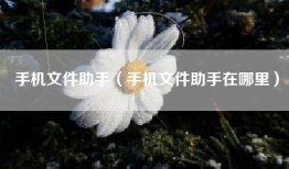 手机文件助手（手机文件助手在哪里）