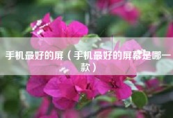 手机最好的屏（手机最好的屏幕是哪一款）