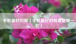 手机最好的屏（手机最好的屏幕是哪一款）