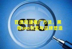 百度知道推广方法，(黑帽seo)引流与品牌塑造