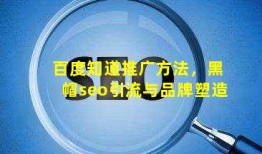 百度知道推广方法，(黑帽seo)引流与品牌塑造