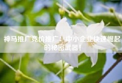 神马推广竞价推广：中小企业快速崛起的秘密武器！