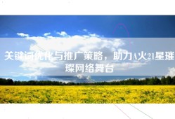 关键词优化与推广策略，助力A火21星璀璨网络舞台