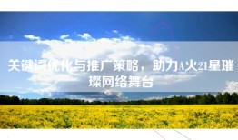 关键词优化与推广策略，助力A火21星璀璨网络舞台