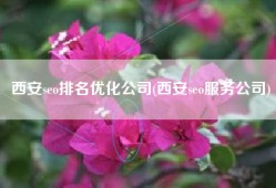 西安seo排名优化公司(西安seo服务公司)