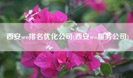 西安seo排名优化公司(西安seo服务公司)