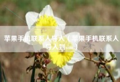 苹果手机联系人导入（苹果手机联系人导入到sim）