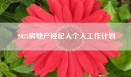 2025房地产经纪人个人工作计划