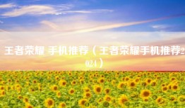 王者荣耀 手机推荐（王者荣耀手机推荐2024）