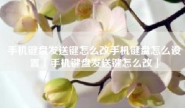 手机键盘发送键怎么改手机键盘怎么设置「手机键盘发送键怎么改」