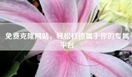 免费克隆网站，轻松打造属于你的专属平台
