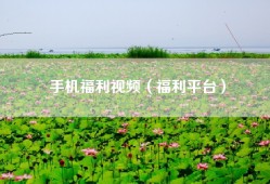 手机福利视频（福利平台）