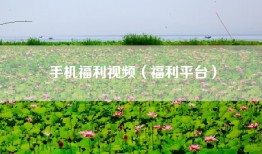 手机福利视频（福利平台）