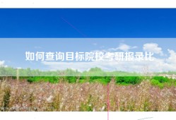 如何查询目标院校考研报录比