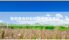 如何查询目标院校考研报录比